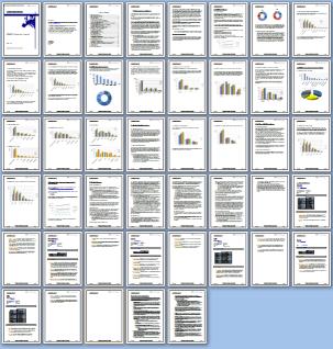 Click to
                                                        enlarge Report
                                                        plan