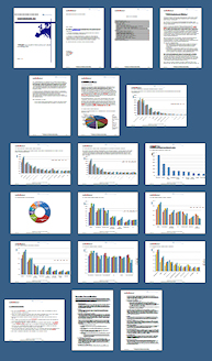 Click here to
                                                      preview MCAE
                                                      Europe Market
                                                      2011