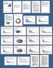 Click here to
                                                      preview MCAE
                                                      Global Market
                                                      2011