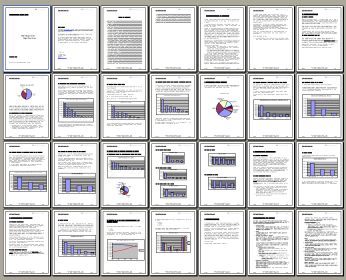 Click to enlarge Report plan
